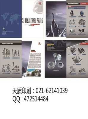 上海普陀區(qū) 融合畫冊(cè)印刷與軟件開(kāi)發(fā)，打造數(shù)字時(shí)代高端視覺(jué)傳播方案